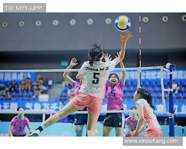 成都排球队领跑最新排球个人能力排行榜前十名分析与解读