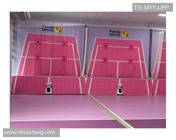 南京网球队的整体压制策略揭秘：如何在网球赛场上掌控全局